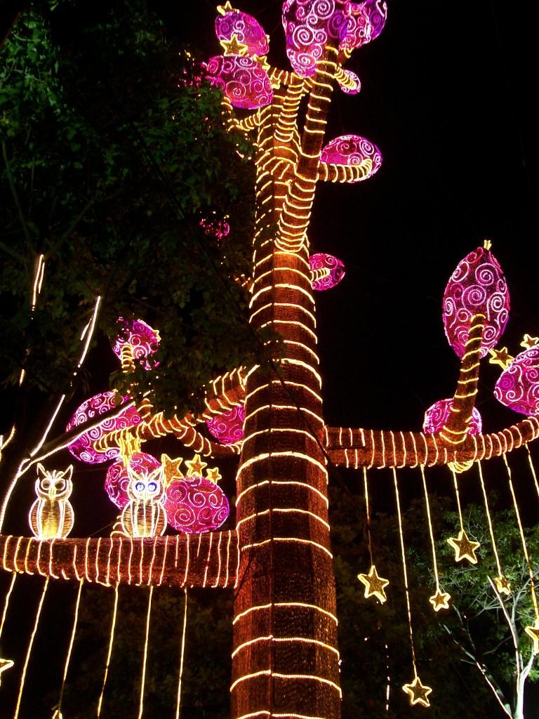 Lighted Tree