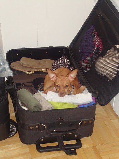 Jacob all packed and ready to go!