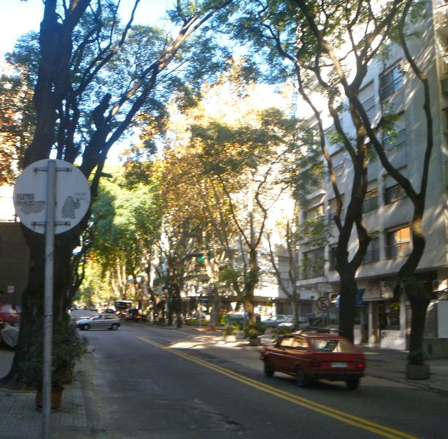 Pocitos, my favorite Montevideo neighborhood. 