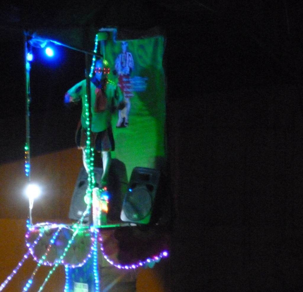 Lights...Christmas...Action!