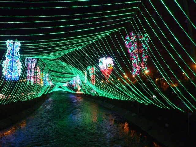 The Christmas lights along the Rio Medellín. 
