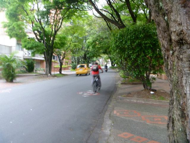 The green streets of Laureles. 
