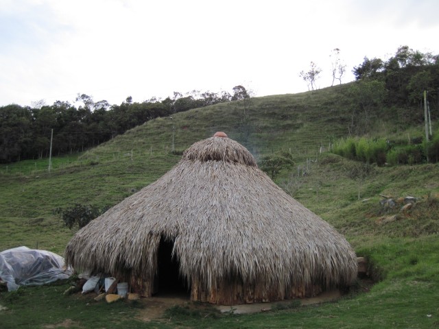 Palapa