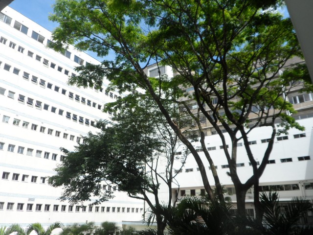 Atrium at the Pablo Tobon Uribe Hospital