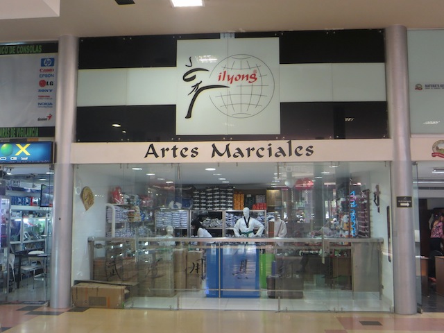 Artes Marciales in Monterrey mall