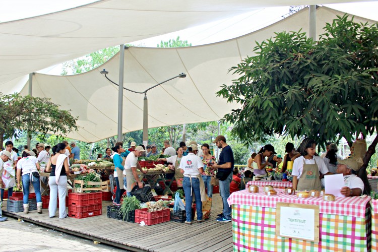 Farmer's Market in Medellin