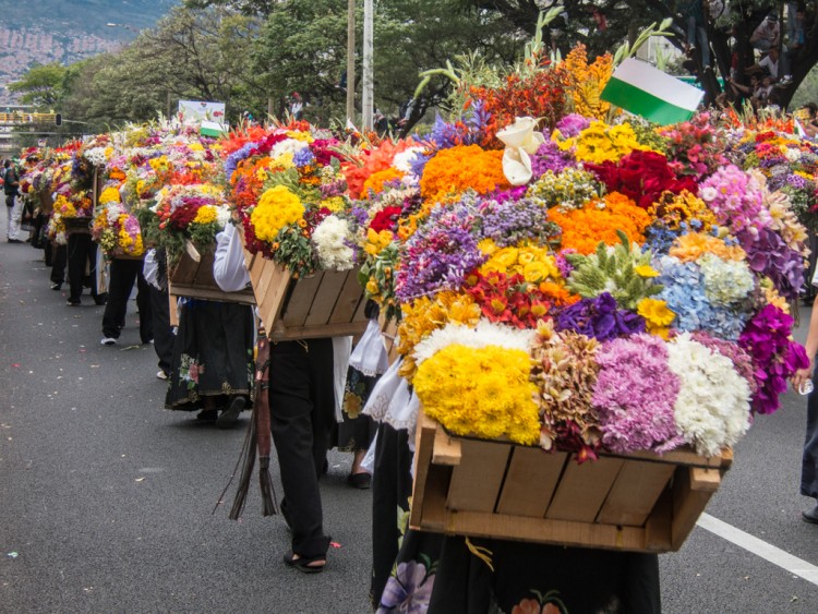 Flower Parade (photo: David Lee)
