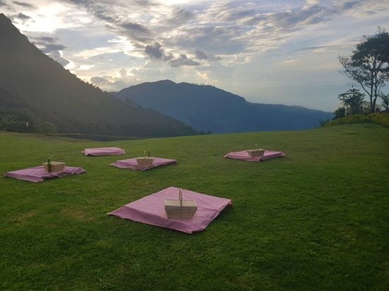 The picnic tables outside EcoLand