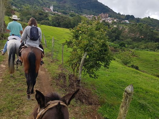 Horse riding around Jerico