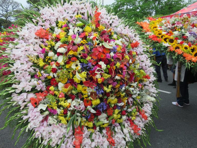 One of many beautiful monumental silletas from the flower parade last year