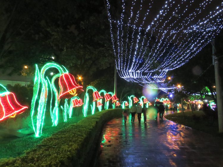 Christmas lights along the route in Parque Norte