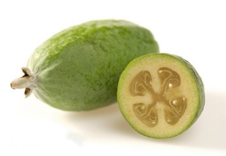 Feijoa, photo by A Currie