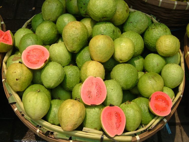 Guayaba (Guava)