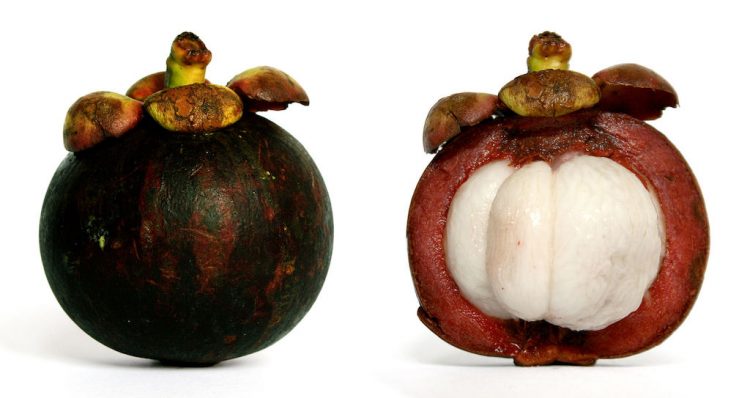 Mangosteen, photo by SMasters