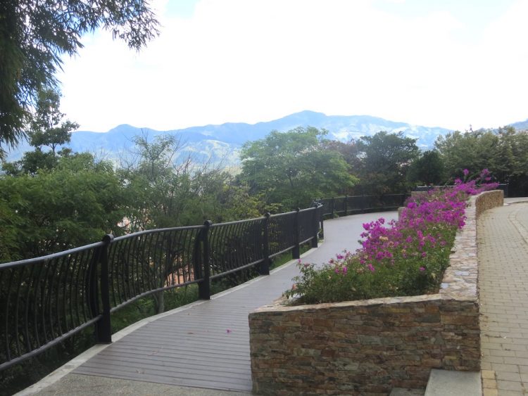 View along the road up to Cerro El Volador