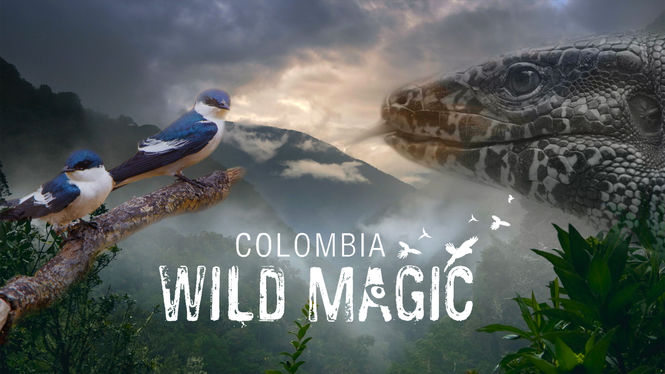 Wild Magic captures the wide diversity of plant and animal life in Colombia