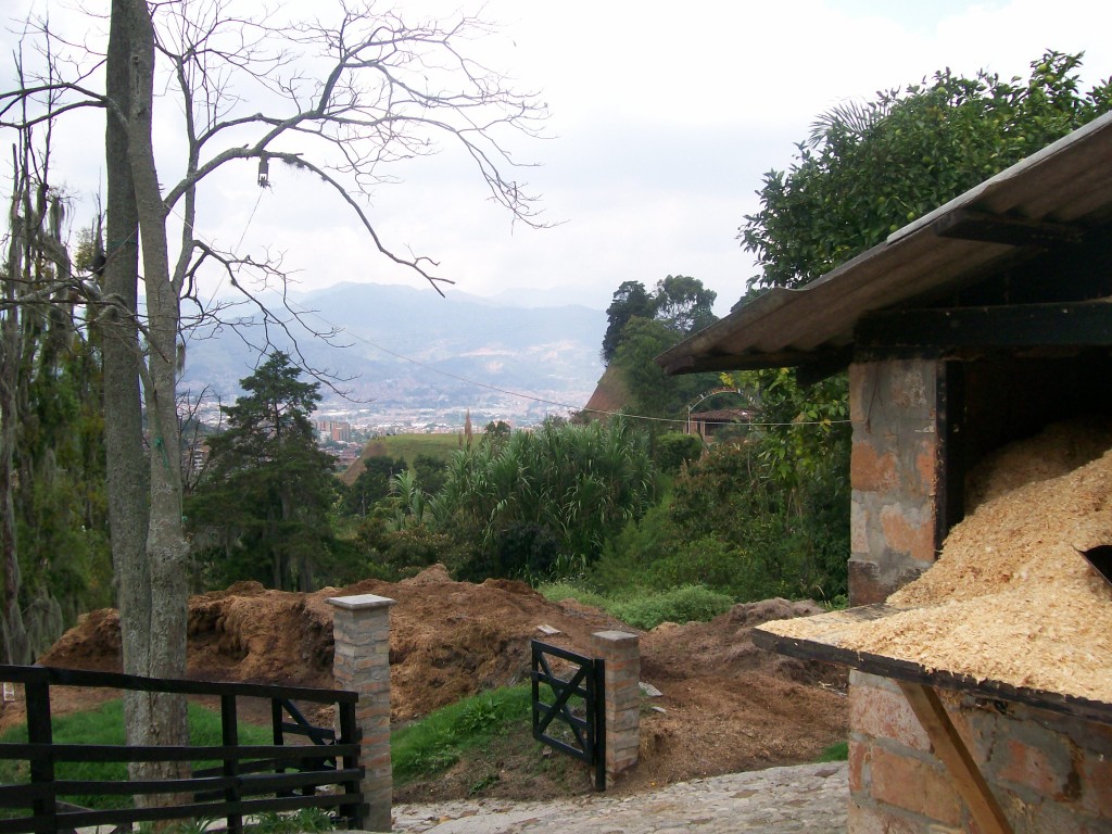View from the hill