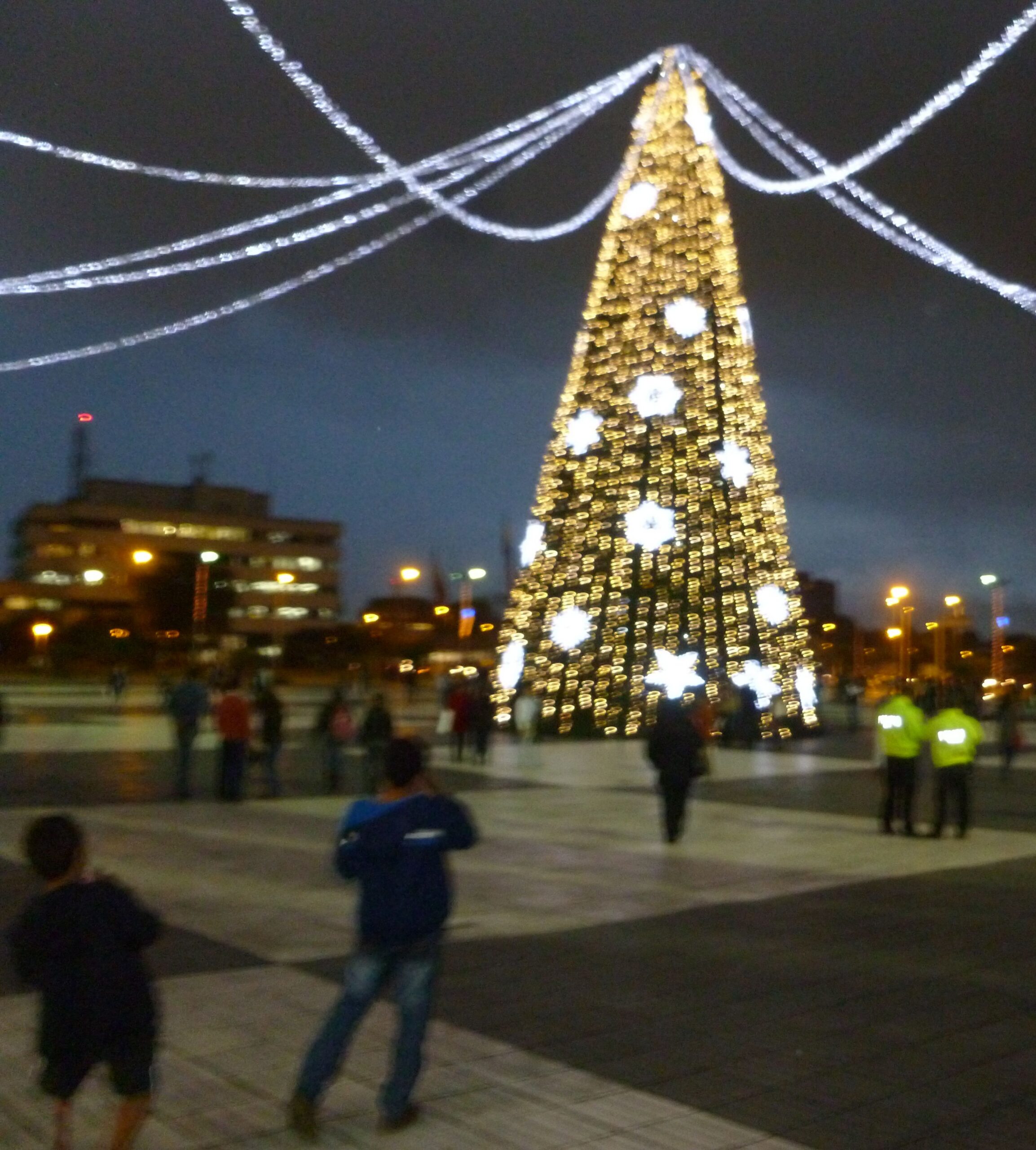The tree outside Centro Comercial Gran Estación