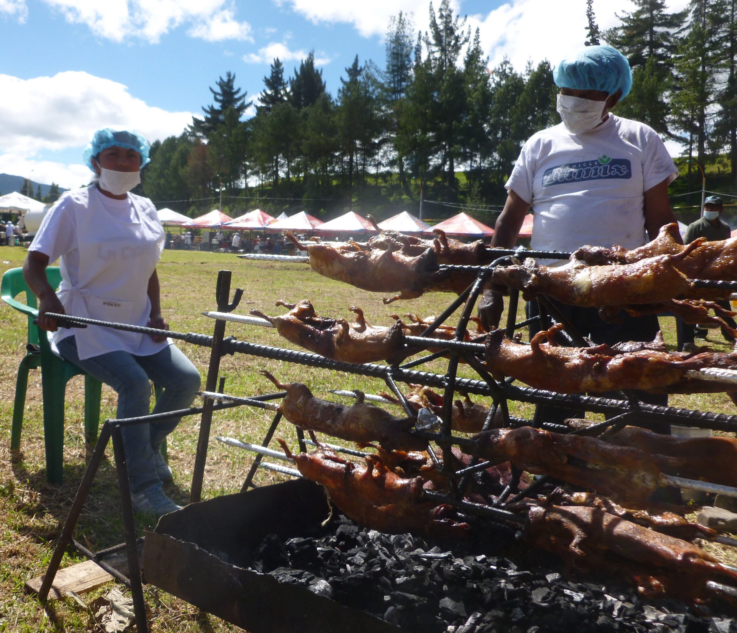 Festival de Cuy Guinea pigs