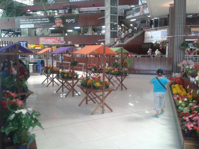 The living museum of flowers at terminal norte