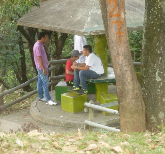 La Asomadera, the big park along the western edge of the comuna, is one of the area's attractions. 