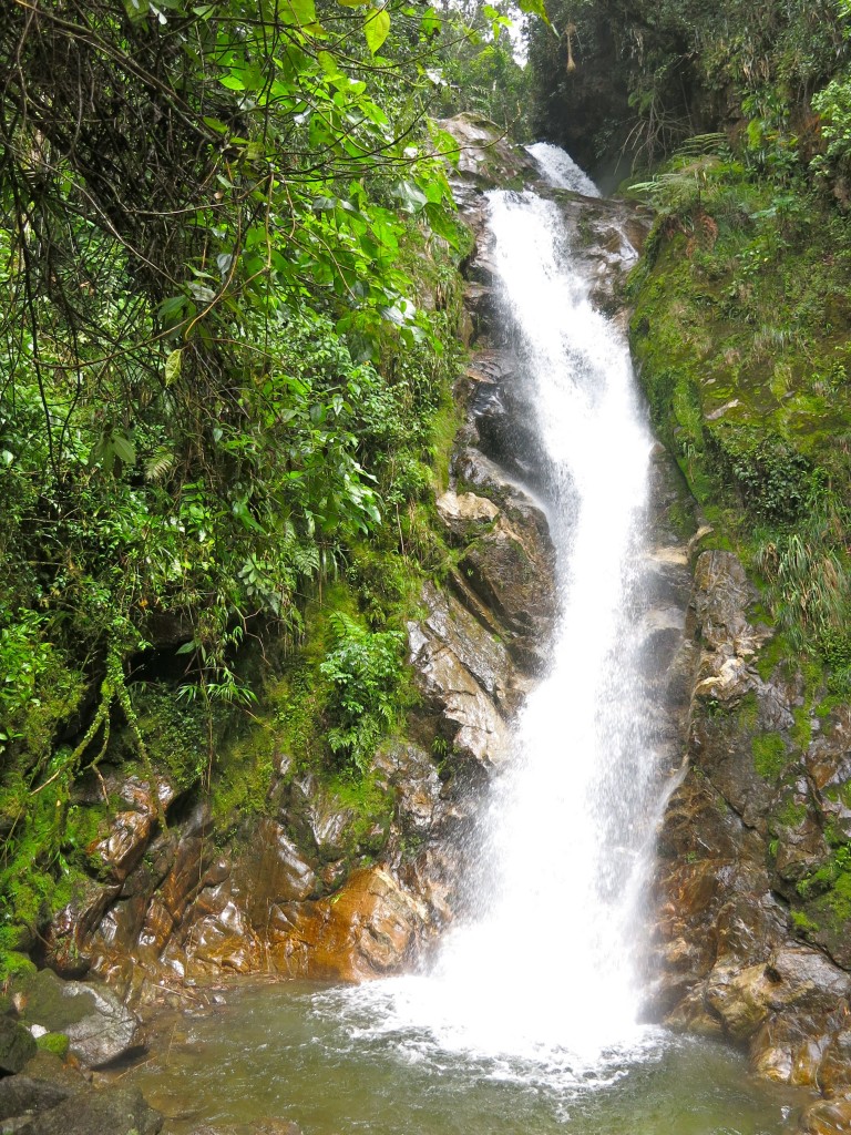 Best Day Trips From Medellín