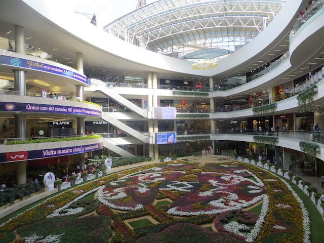 2014 flower carpet display in Santafé with over 150,000 flowers