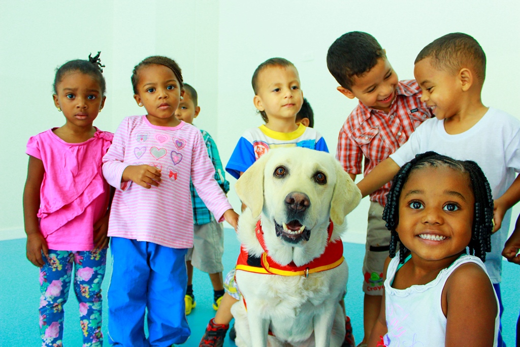 Animal therapy!