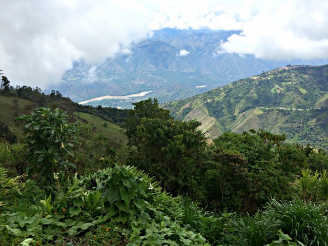 View of the Río Cauca from Horizontes.