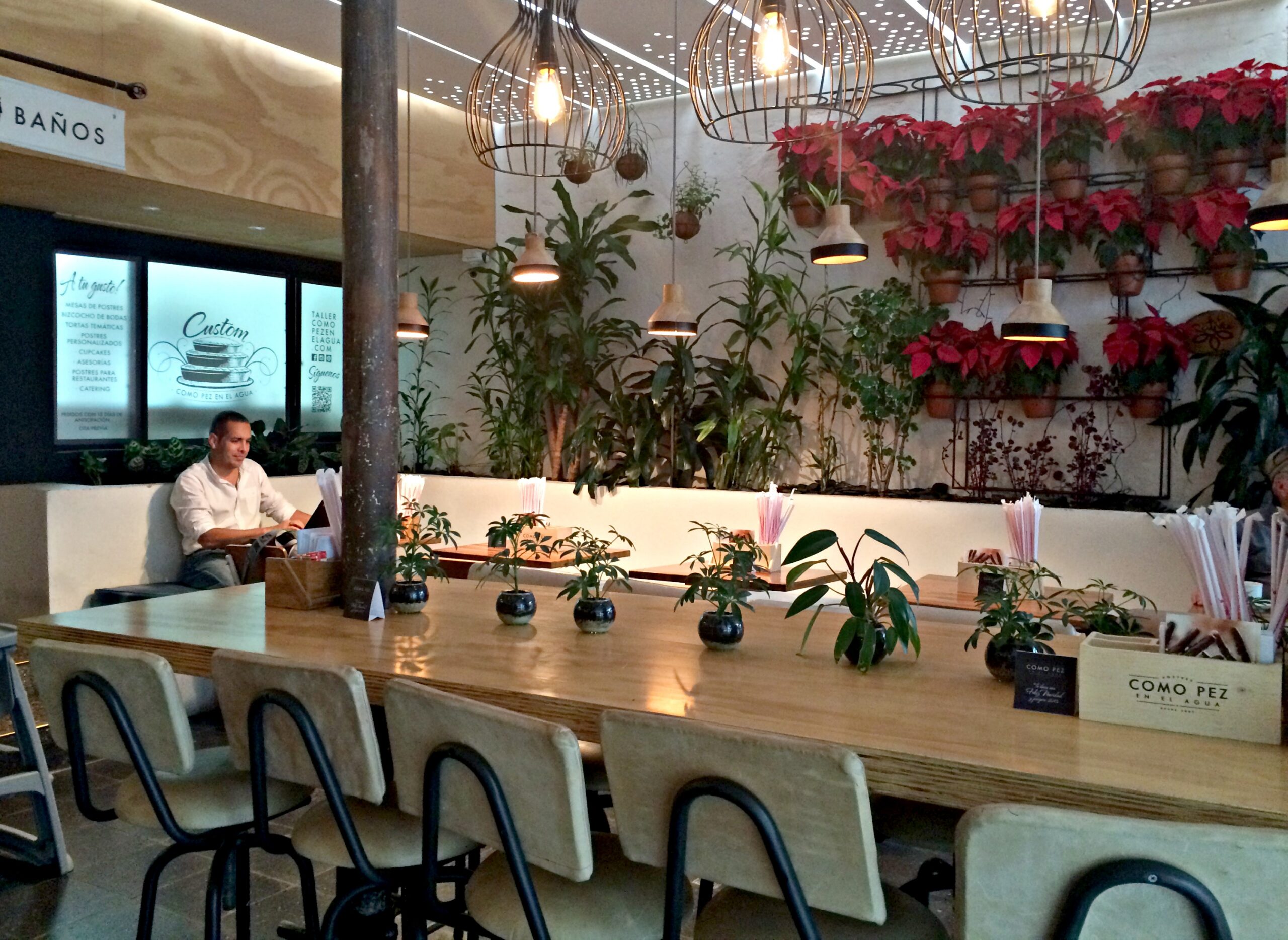 Como Pez en el Agua, Medellin