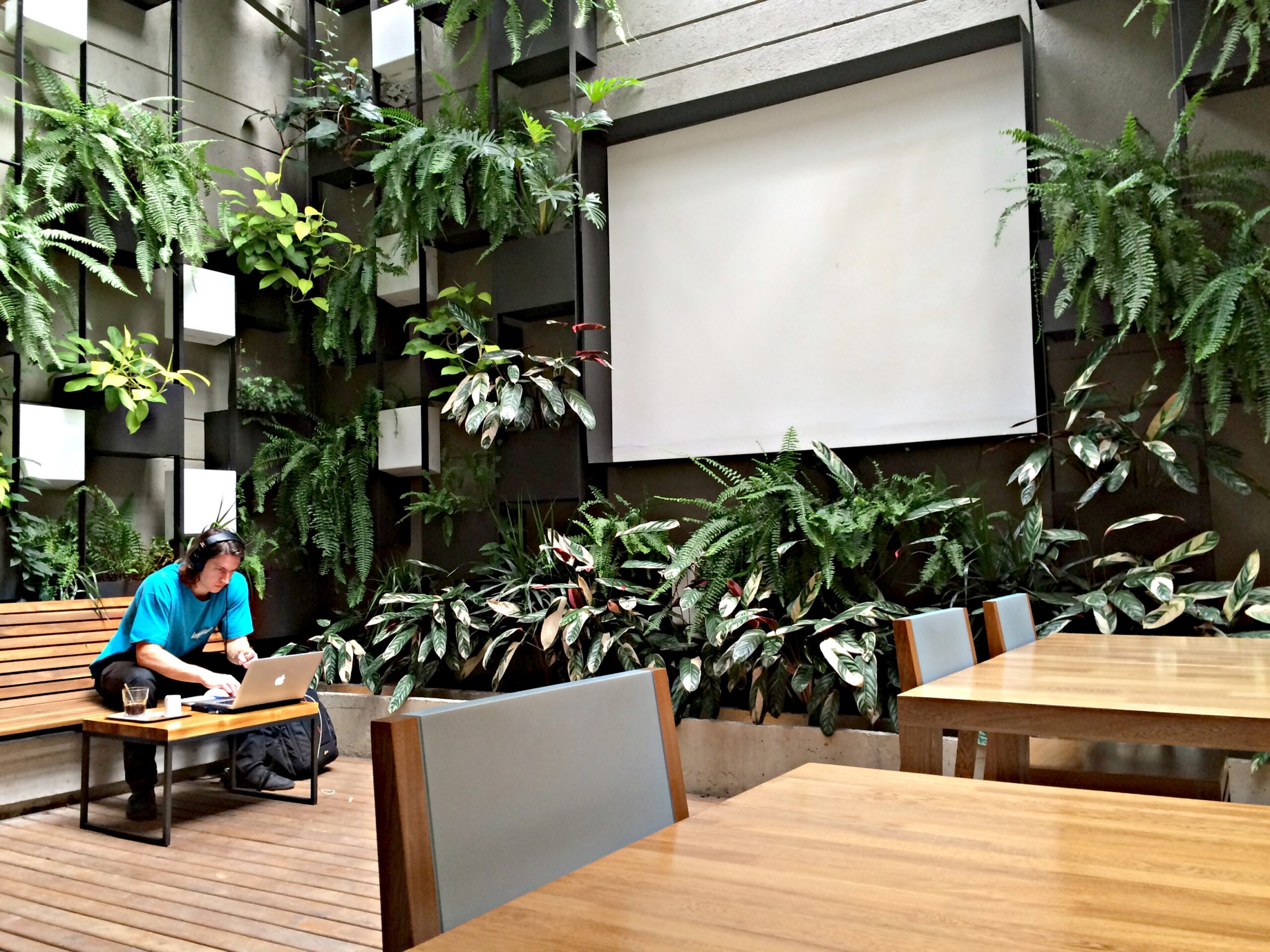 Cafe Velvet Medellin
