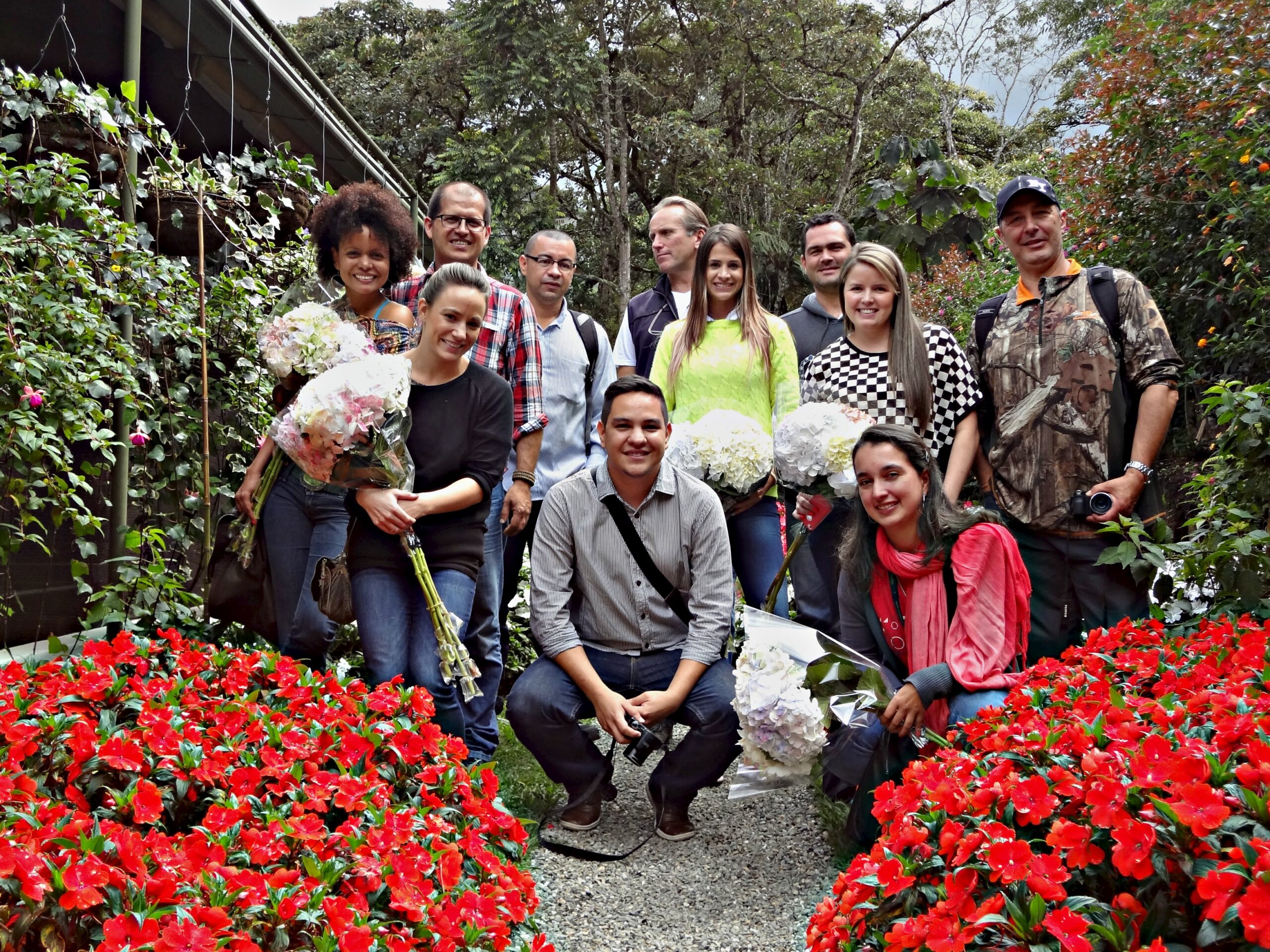 Fresh flowers With our freshly cut and packaged hydrangeas