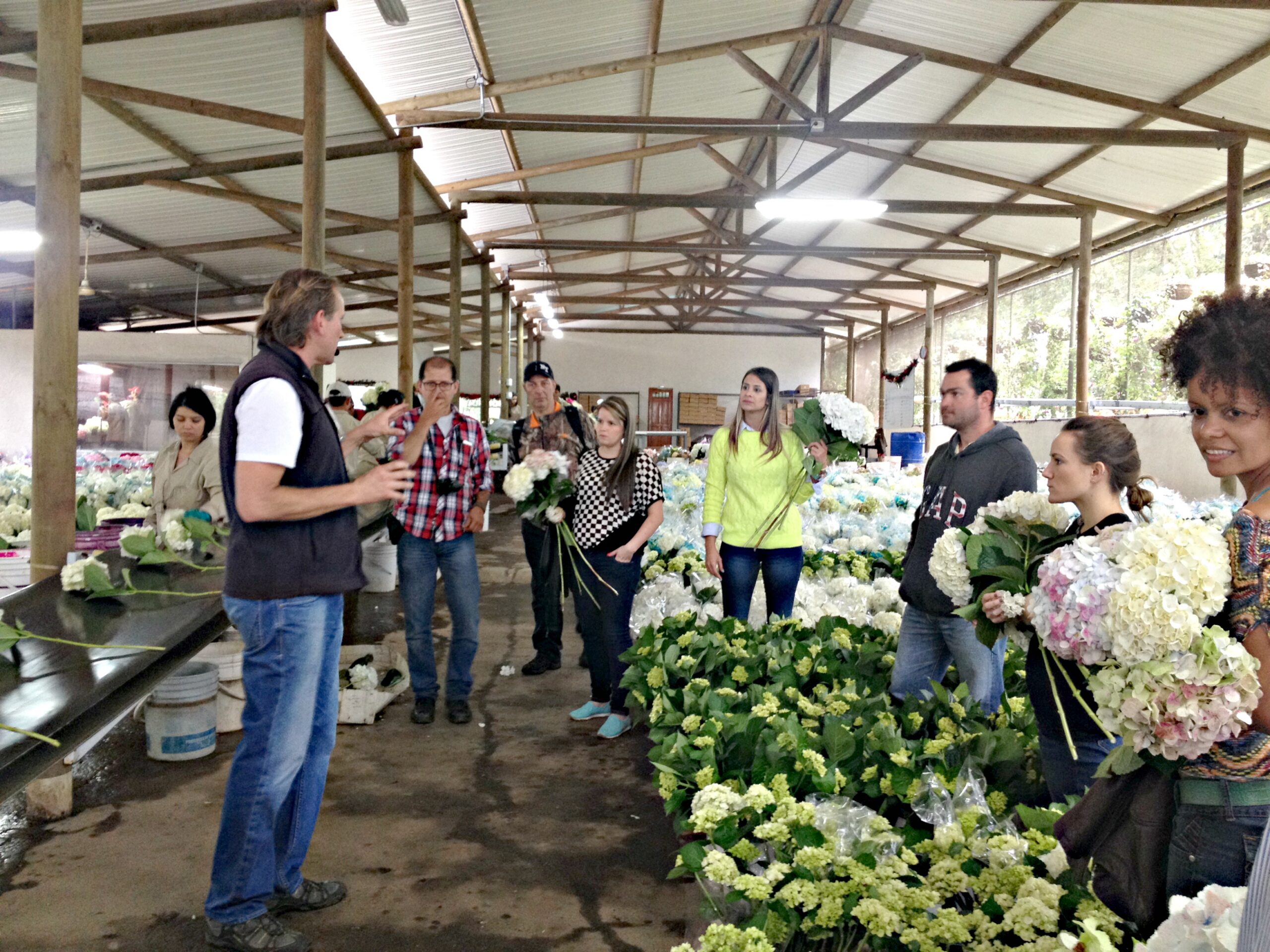 Packaging room Packaging flowers for exportation