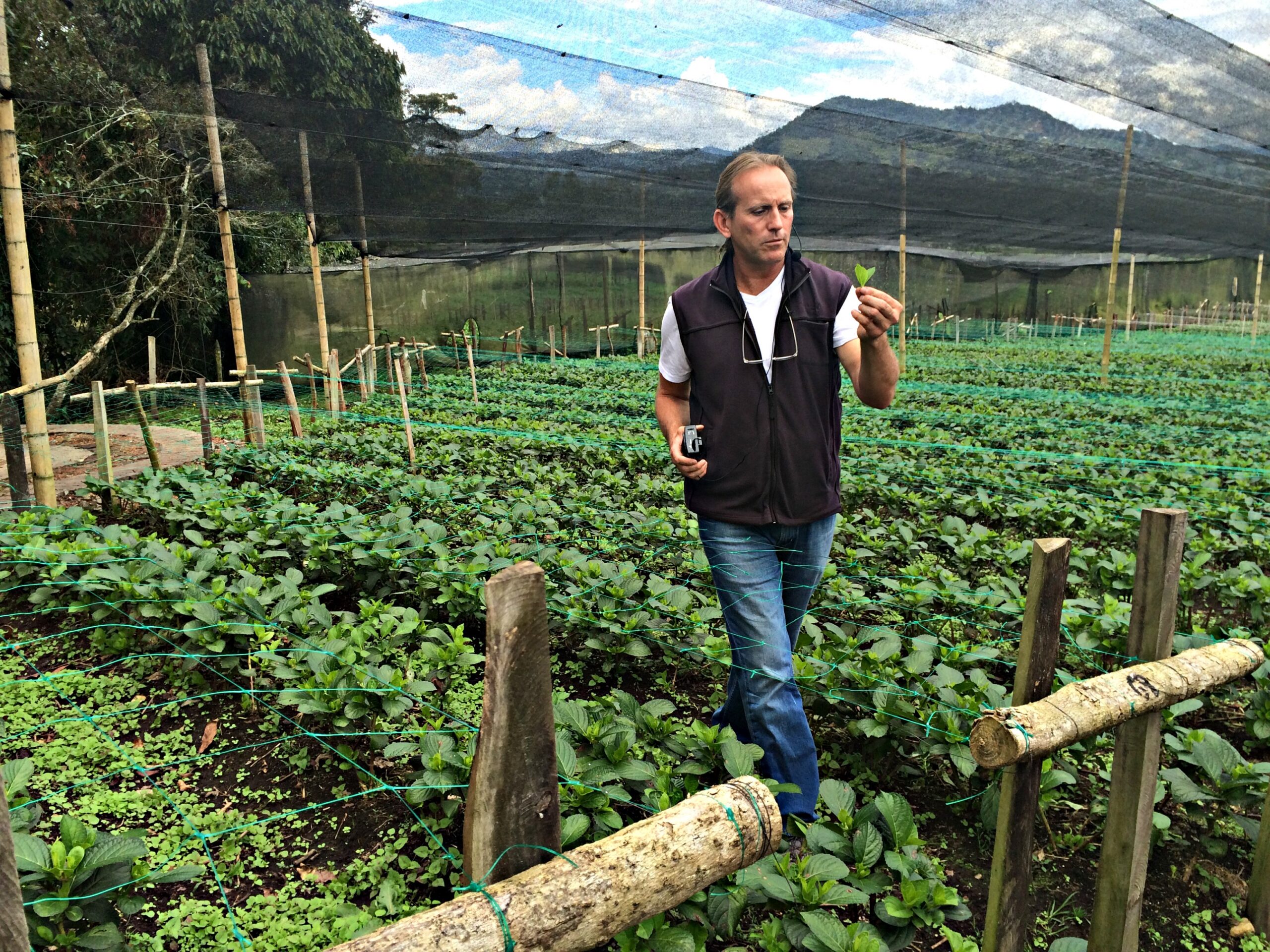 Mr. Piedrahita Owner, Mr. Piedrahita, Entre Flores