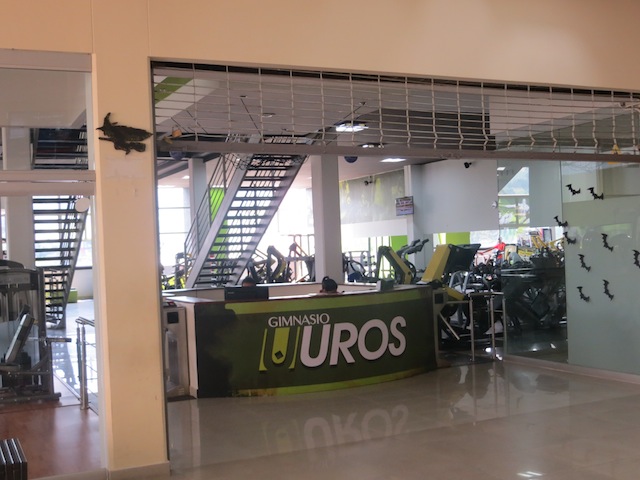 Gimnasio Uros