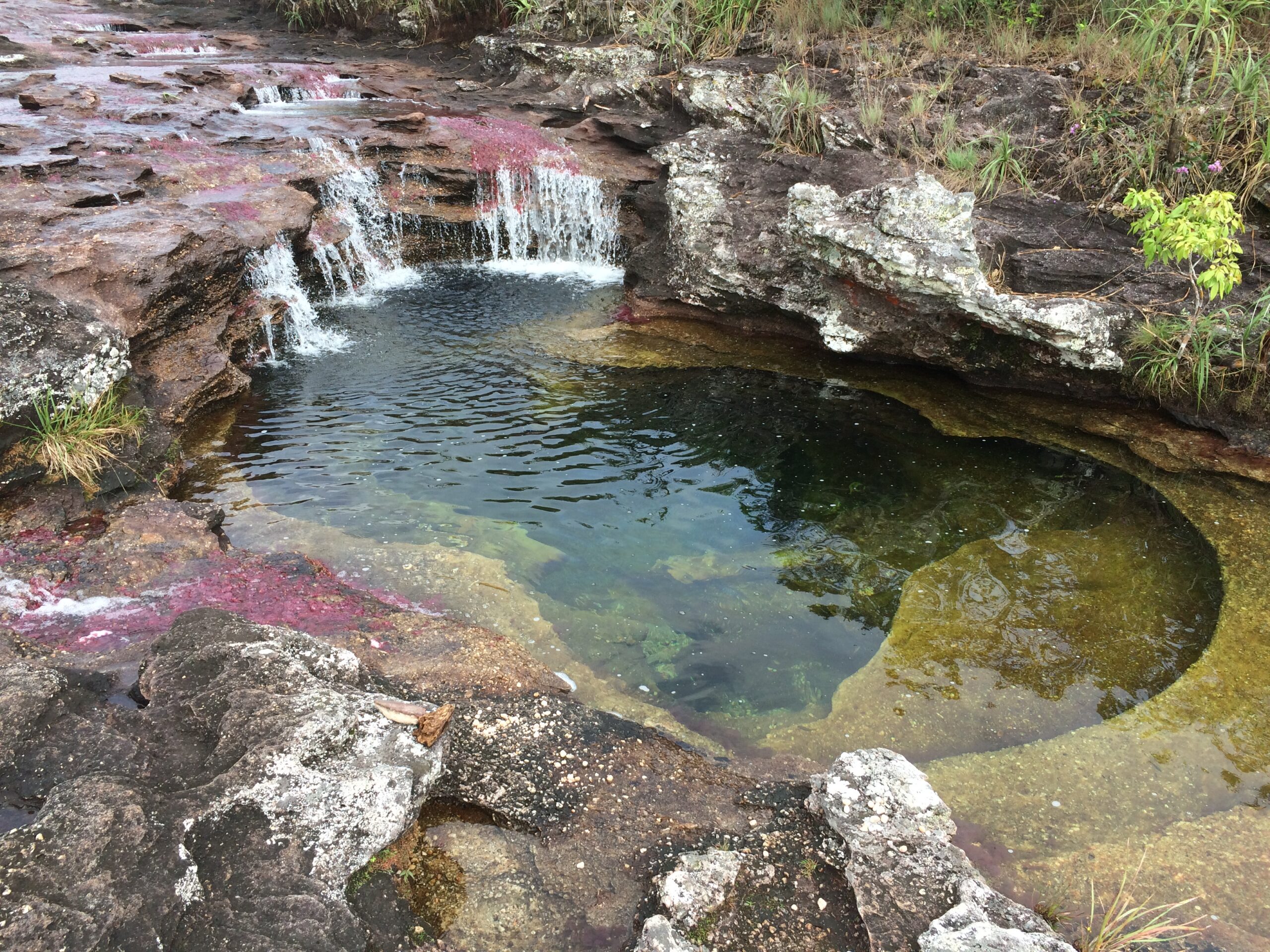 Caño Cristales: «El río de los cinco colores»