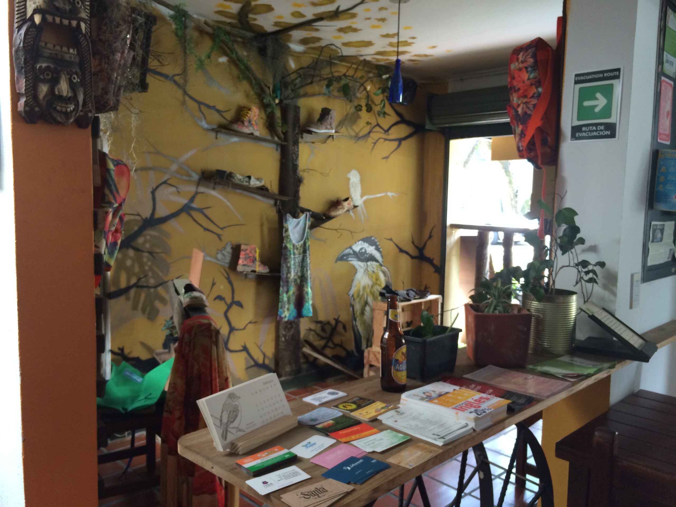 Leaflets Leaflets on all things healthy and Arbol clothing space