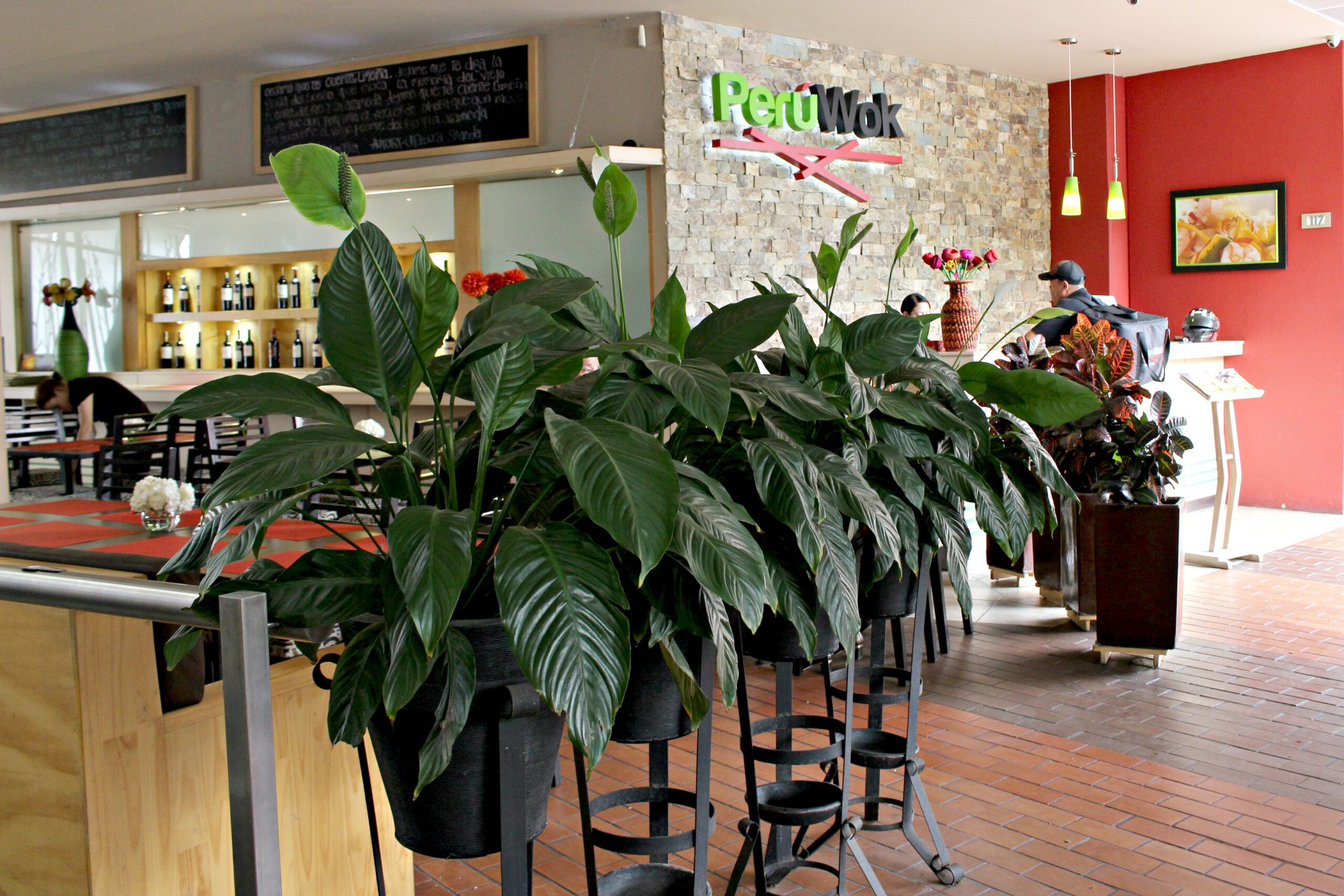 Peruvian-Asian fusion at PeruWok, Mall Zona Dos