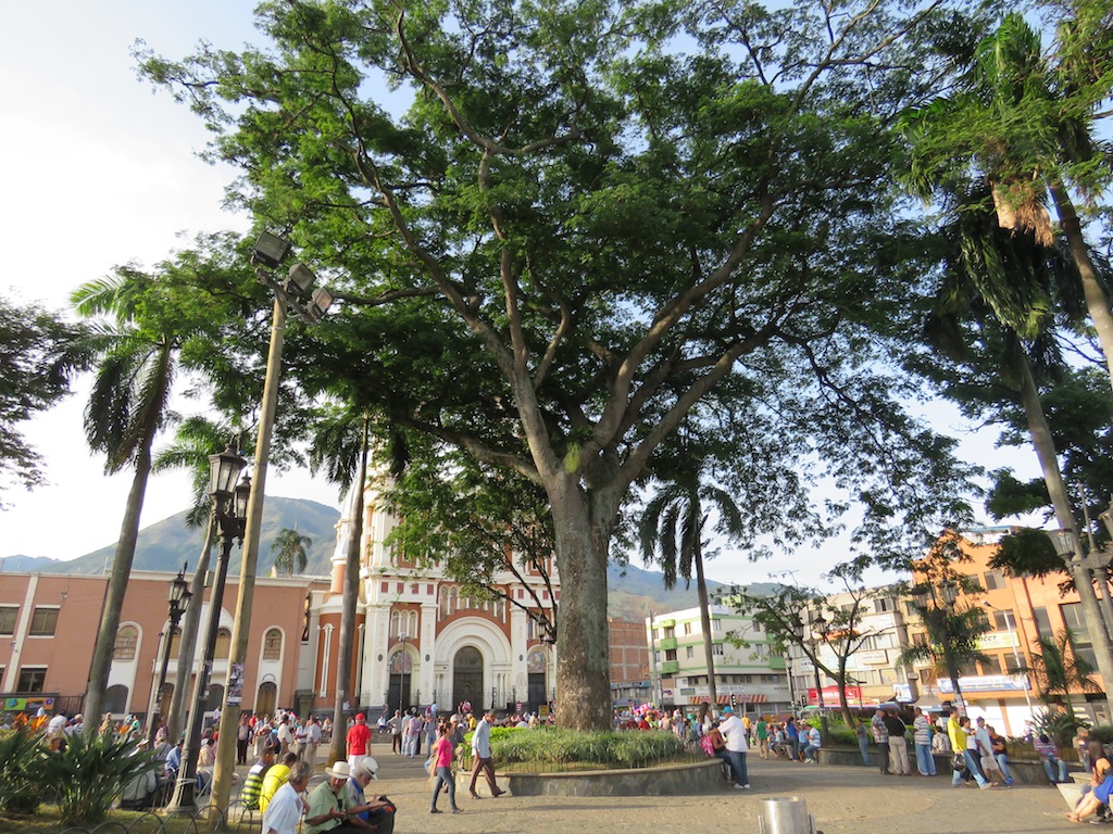 Parque Bello