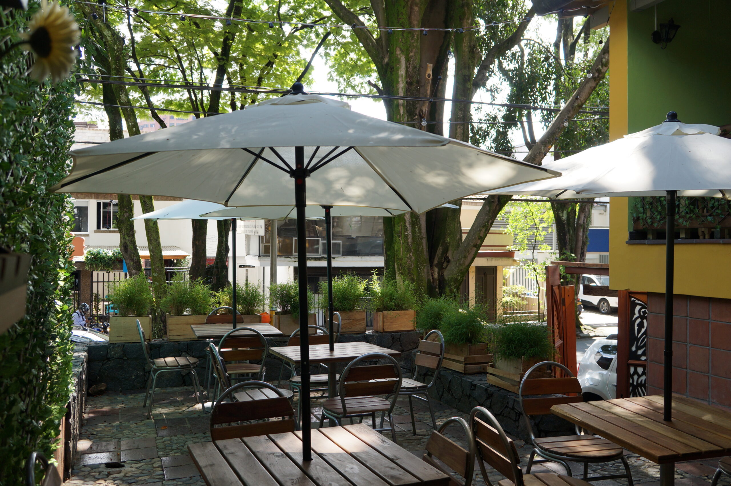 The terrace - soon to be restaurant