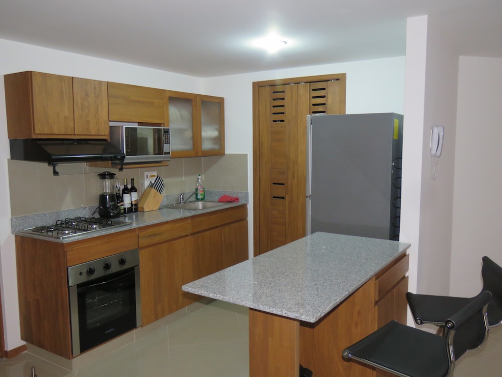 Kitchen inside my current apartment
