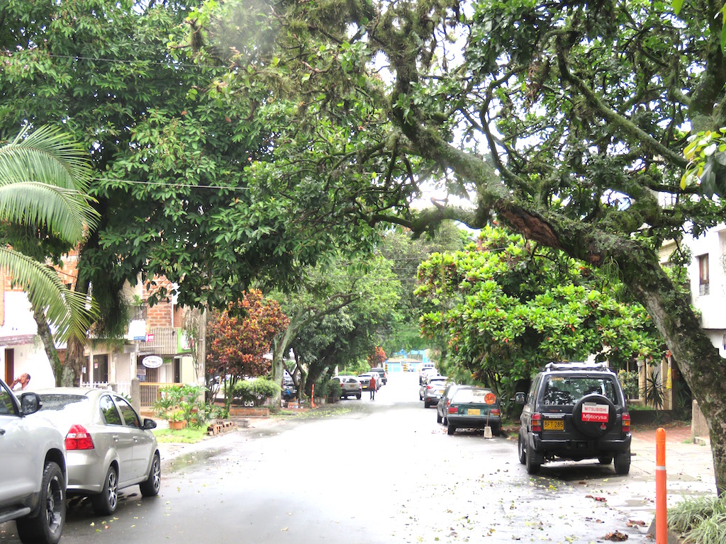 Tree lined street in Manila barrio