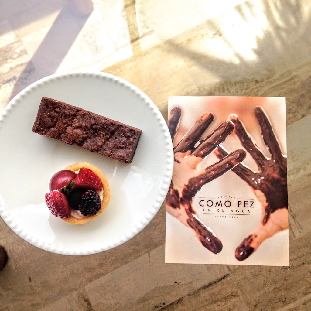 Como Pez En El Agua. Photo by Alice Ko