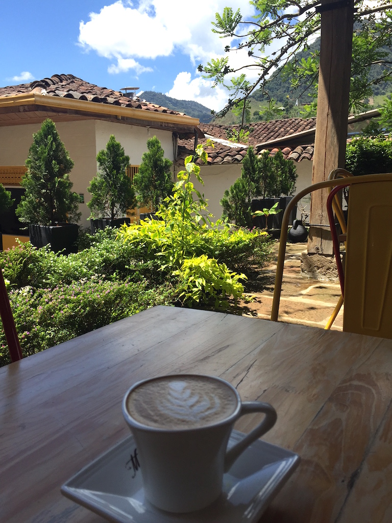 A 1,500 Peso Perico in the Courtyard of Cafe Macanas