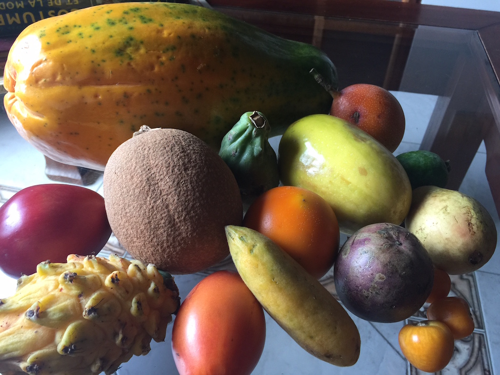 Tropical fruits of Colombia