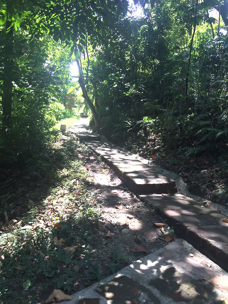 One of many trails in the park