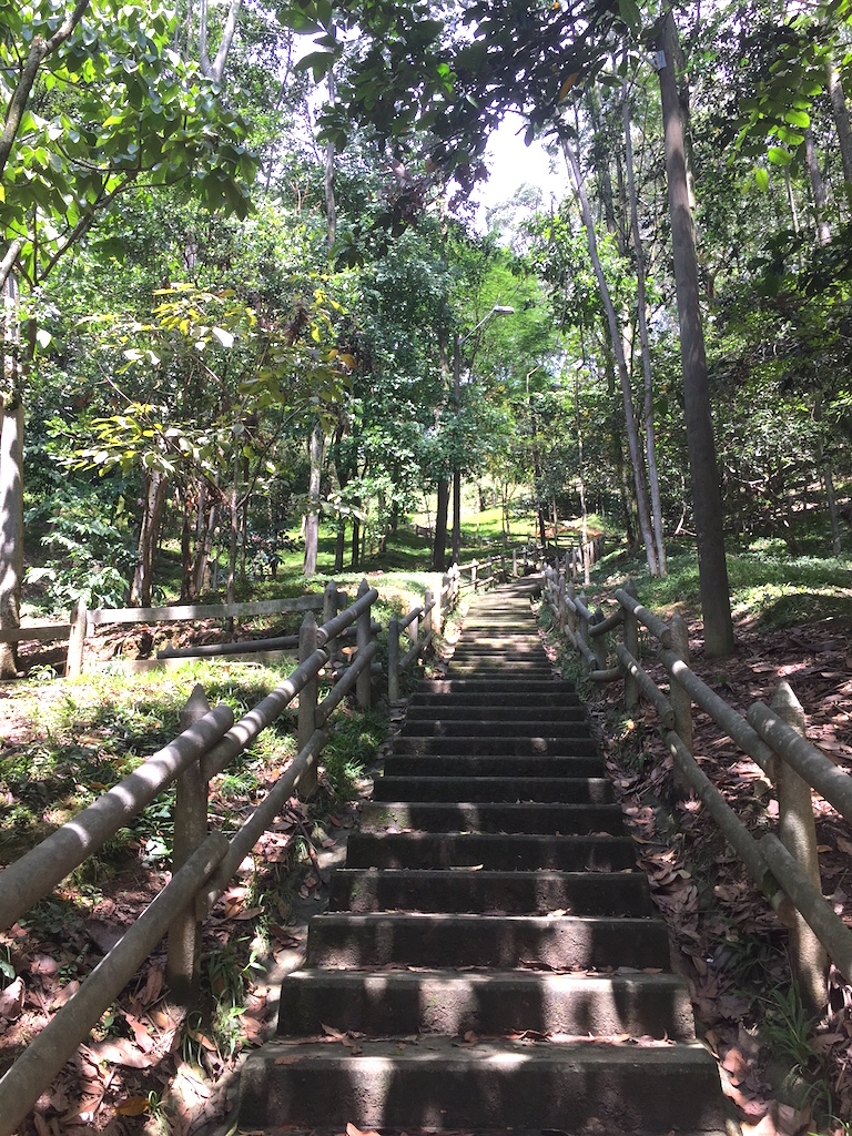 One of many trails in the park