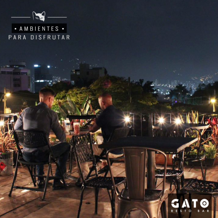 Dining with a view at Gato Resto Bar