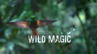 Colombia: Wild Magic … in Dangerous Times – Movie Review