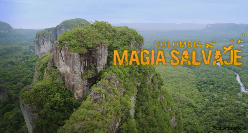 The Chiribiquete table mountains located in the Colombian Amazon